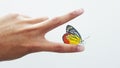 Butterfly on finger Royalty Free Stock Photo