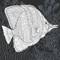 Butterfly fish in black and white style Royalty Free Stock Photo