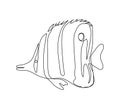 Butterfly fish continuous line drawing. One line art of bannerfish and coralfish, seafood. Royalty Free Stock Photo