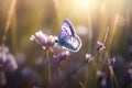 A butterfly flies over blooming flowers. Generative AI