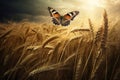 Butterfly flies wheat field. Generate Ai