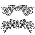 Butterfly floral border