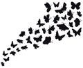 Butterfly flow silhouettes. Flying butterflies graphic wave, black flower butterflies silhouette. Papillon sketch vector