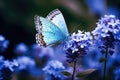 Butterfly on a flower. Blue butterfly on a flower, Beautiful butterfly perched on a blue flower, AI Generated