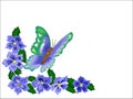 Butterfly Flower Border Royalty Free Stock Photo