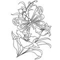 Butterfly and flower cartoon coloring page vector Royalty Free Stock Photo