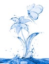 Butterfly and flower made of water splashes Royalty Free Stock Photo