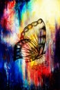 Butterfly with flower. Original hand draw. Computer collage and Abstract background. Royalty Free Stock Photo