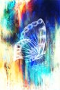 Butterfly with flower. Original hand draw. Computer collage and Abstract background. Royalty Free Stock Photo
