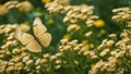 butterfly on a flower wallpaper abstract floral background green flowers golden butterfly Royalty Free Stock Photo