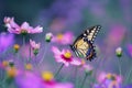 Butterfly flowers. Generate AI Royalty Free Stock Photo