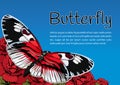 Butterfly on flowers of red roses on a blue sky background and space for text, vector banner, card, poster, flyer Royalty Free Stock Photo