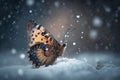 butterfly fluttering between delicate snowflakes in chilly winter wonderland