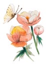 Butterfly flutters over yellow flowers, watercolor handmade, grayik pen