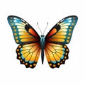 Butterfly flying big yellow butterfly butterfly blue colour gulf fritillary butter flies butterfly background hd