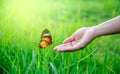 A butterfly is flying on the hand of a woman in a lush meadow