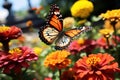 Butterfly Flying Over Field of Flowers Royalty Free Stock Photo