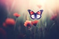 a butterfly flying over flowers Royalty Free Stock Photo