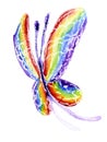 butterfly in the form of a rainbow Royalty Free Stock Photo