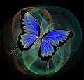 Butterfly on fractal background Royalty Free Stock Photo