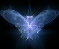 Butterfly - fractal generated Royalty Free Stock Photo