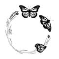 Butterfly Frame border Vector line art. Circle wreath drawing. Hand drawn of metamorphosis. Black outline illustration Royalty Free Stock Photo