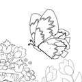 Butterfly in garden coloring page