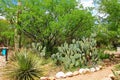 Butterfly Garden on La Posta Quemada Ranch in Colossal Cave Mountain Park Royalty Free Stock Photo