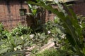 Butterfly garden in the national museum of Costa Rica