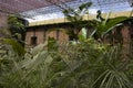 Butterfly garden in the national museum of Costa Rica