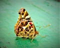 Butterfly on the garden table