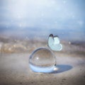 Butterfly on a glass ball on the beach reflecting the lake and sky