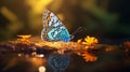 Butterfly Reflection: A Captivating 8k Photography In Soft Light Royalty Free Stock Photo