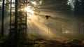 Wildfowl In Forest Sunlight: Captivating Bird Art Inspired By Janek Sedlar And Filip Hodas