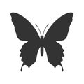 Butterfly graphic icon isolated on white background