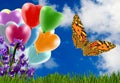 butterfly, grass, flowers and colorful balloons against a sky with clouds