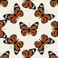 Butterfly groovie pattern Royalty Free Stock Photo