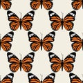 Butterfly groovie pattern Royalty Free Stock Photo