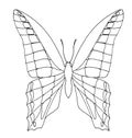 Butterfly hand drawn Royalty Free Stock Photo