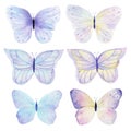 Butterfly hand painted watercolor collection on white background. Can be used for cards,wedding invitations,logo,printing on fabri