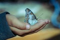 Butterfly on hand