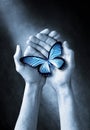 Butterfly Hands Life Love Spirituality