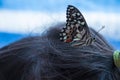 Butterfly on head Royalty Free Stock Photo