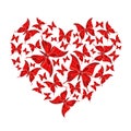 Butterfly heart Royalty Free Stock Photo