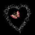 Butterfly in heart fron sugar in black background Royalty Free Stock Photo