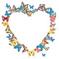 Butterfly heart sharp frame Royalty Free Stock Photo