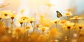 Butterfly hovering over vibrant yellow daisies in a natural setting