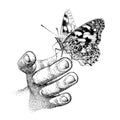 Butterfly on human hand. Vanessa cardui, Painted Lady, Cosmopolitan. Beautiful insect. Hand-drawn vector, engraving