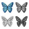 Butterfly icon in cartoon style isolated on white background. Insects symbol stock vector illustration. Royalty Free Stock Photo