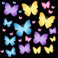 Butterfly Icon, Cute Cartoon Funny Character with Colorful Wings, Flying Insect Ã¢â¬â Flat Design in the Dark Background Royalty Free Stock Photo